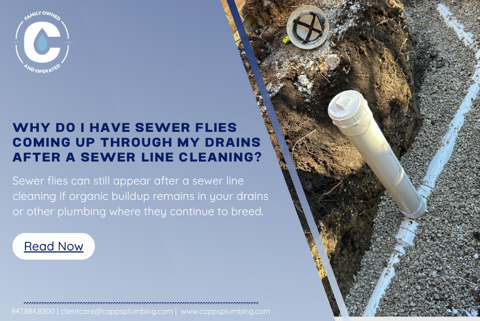Sewer Line Repair & Replacement
