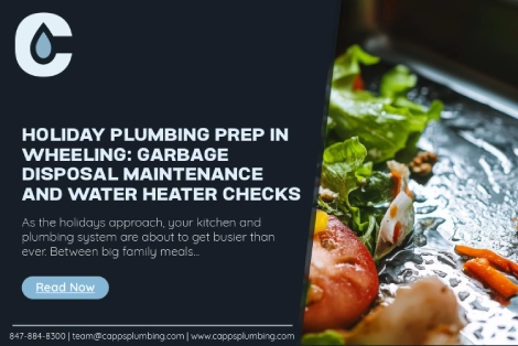 A kitchen sink with food scraps next to a holiday plumbing prep ad, featuring text about garbage disposal maintenance and water heater checks, with contact details and a Read Now button.